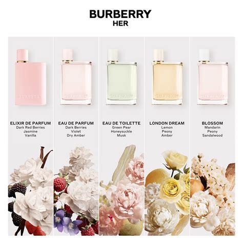 burberry perfume her review|Burberry Her elixir noted.